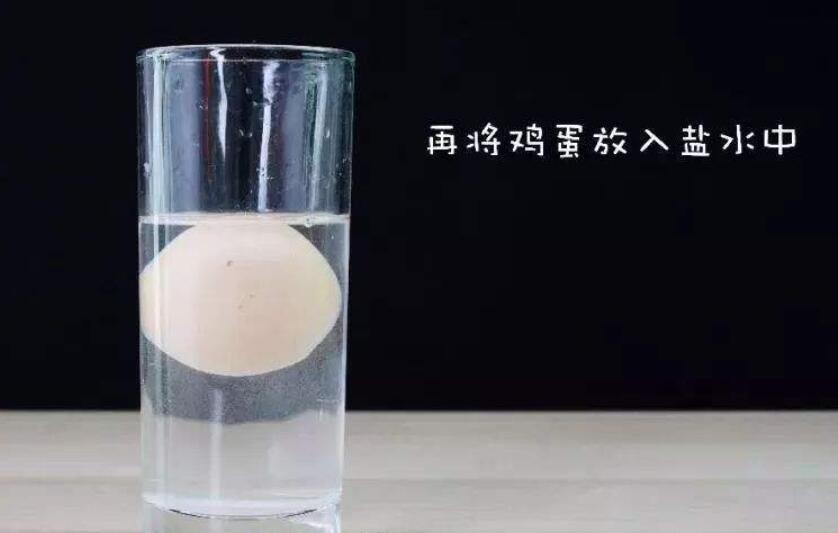 鸡蛋的沉浮科学小实验作文300字