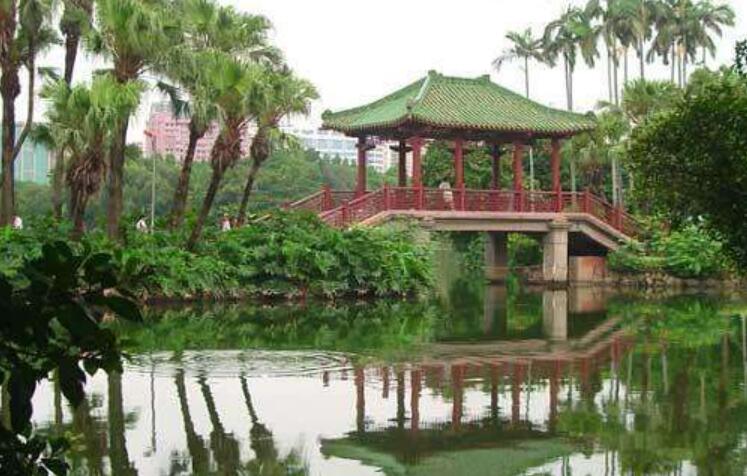 美丽的流花湖公园作文800字