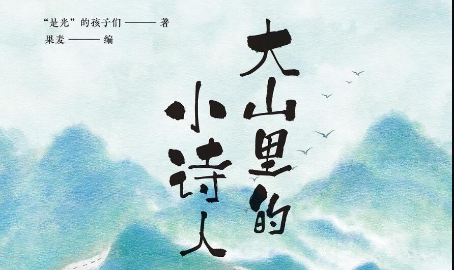 《大山里的小诗人》读后感300字
