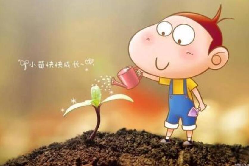 小区守护卫士作文400字