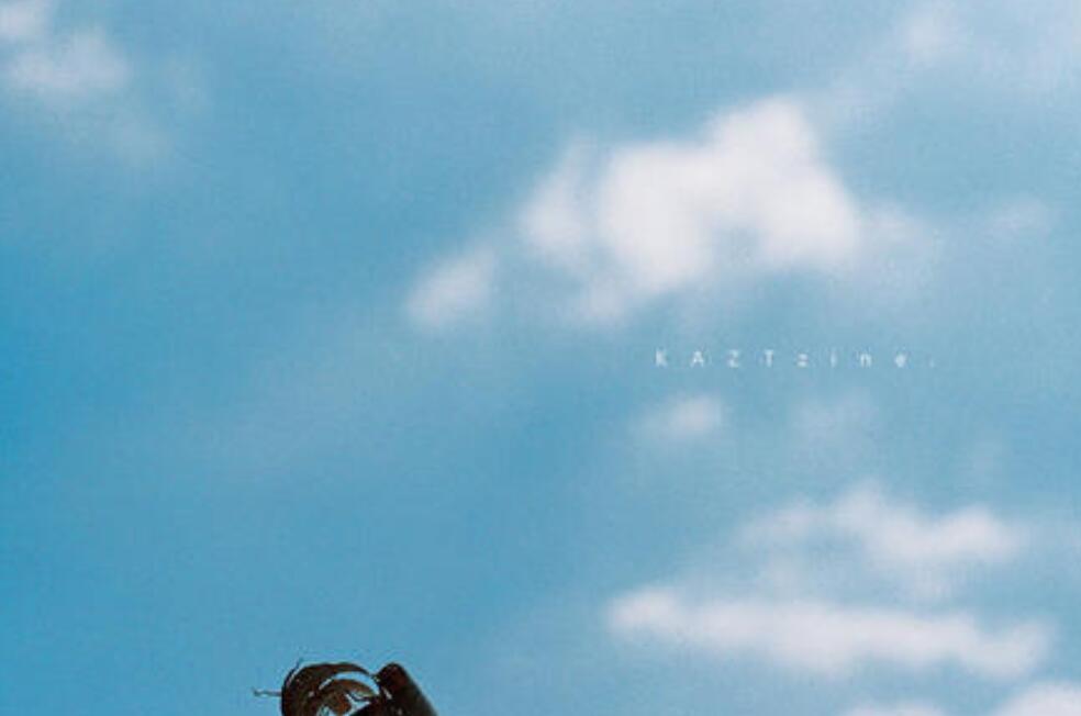 夏日狂想曲作文400字