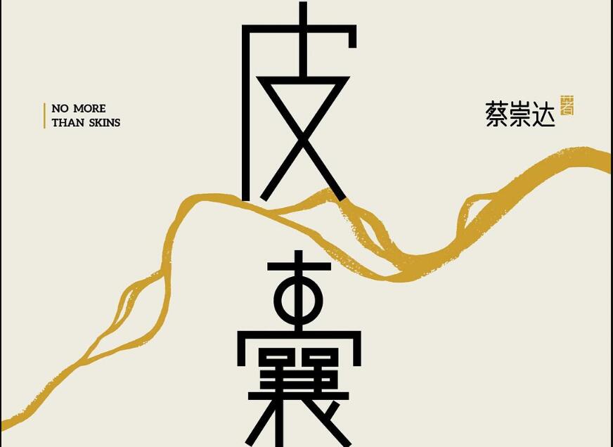 《皮囊》读后感500字