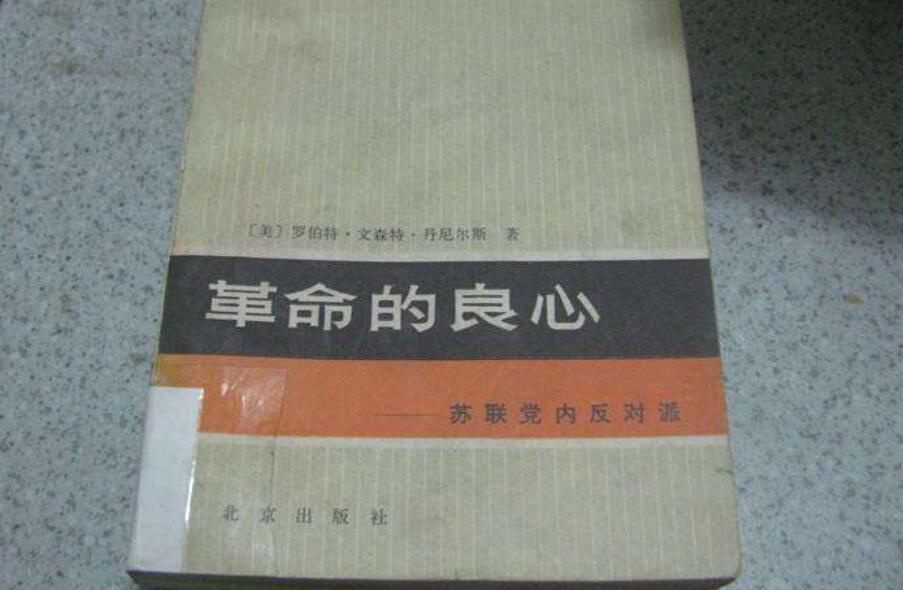 《革命的良心》读后感500字