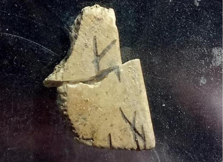 简单的背后作文600字