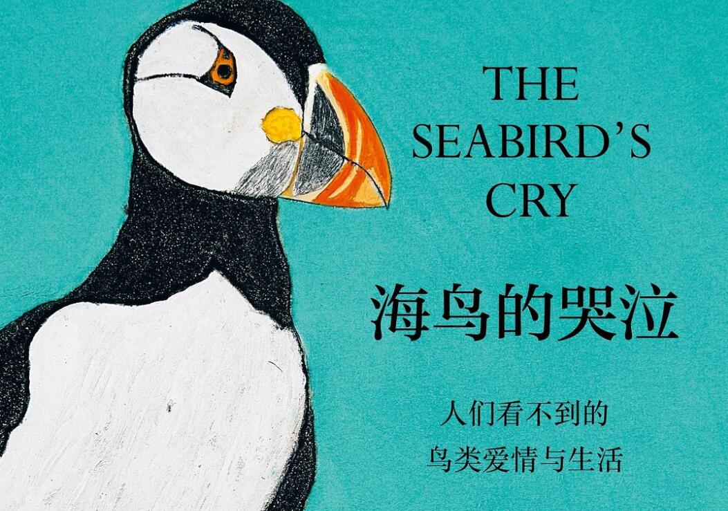 《海鸟的哭泣》读后感1000字