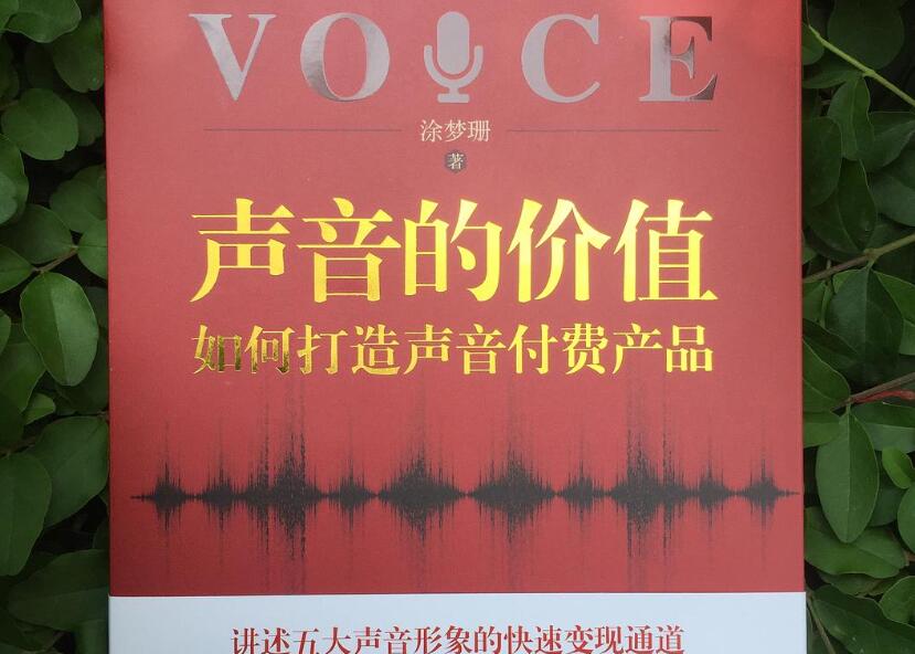 《声音的价值》读后感1000字