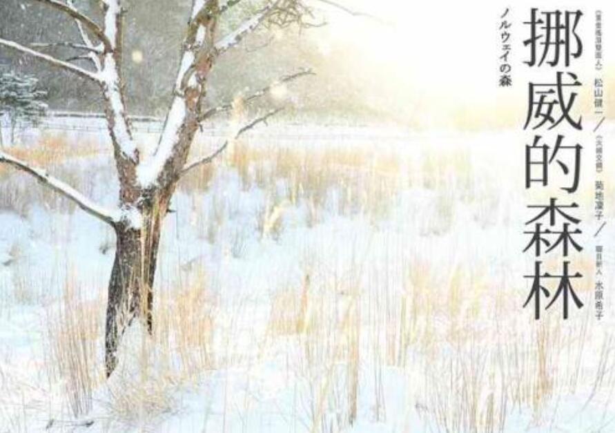 《挪威的森林》读后感300字