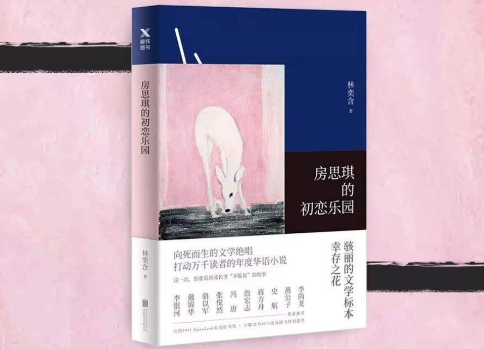 《房思琪的初恋乐园》读后感600字