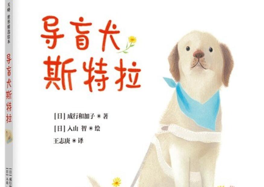 《导盲犬斯特拉》读后感800字