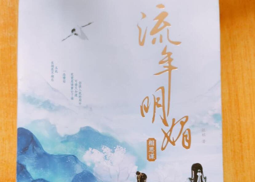 《流年明媚》读后感800字