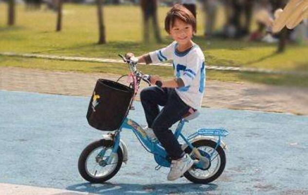 学车记作文800字