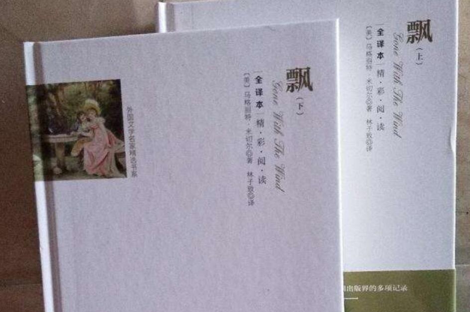 《飘》读后感300字