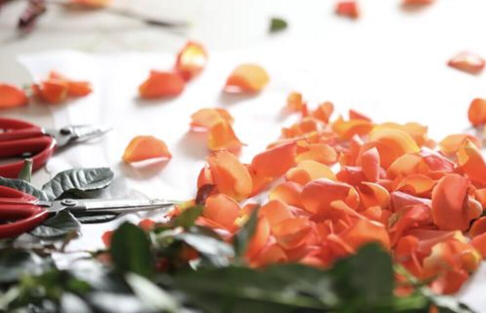 心灵深处的秘密作文600字