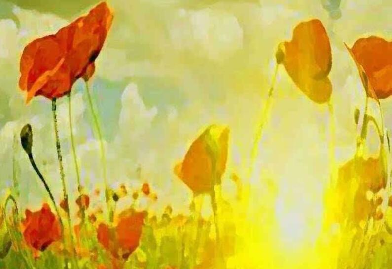 无私的奉献者作文600字