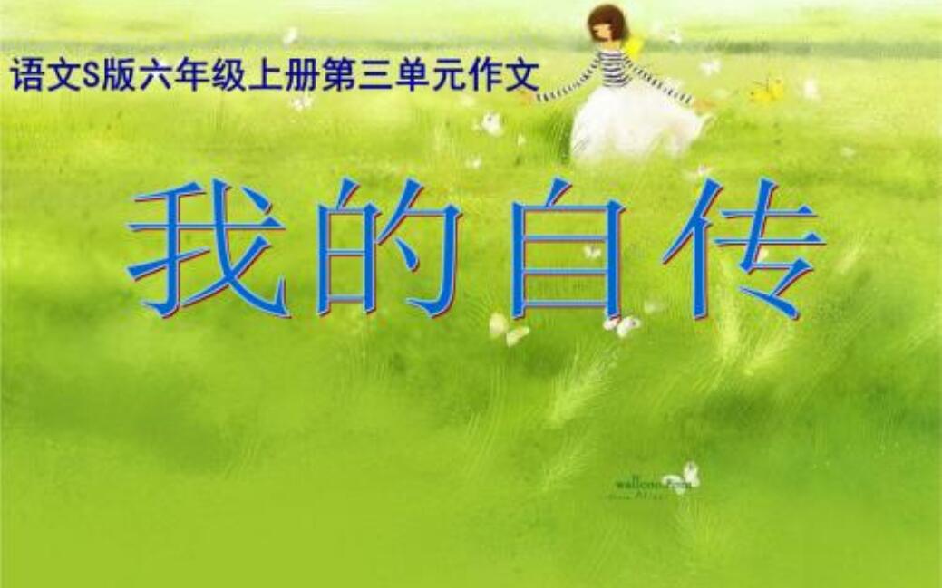 我的自传作文700字