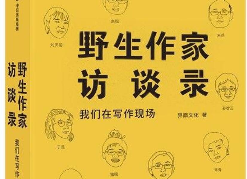 《野生作家访谈录》.jpg 《野生作家访谈录》.jpg