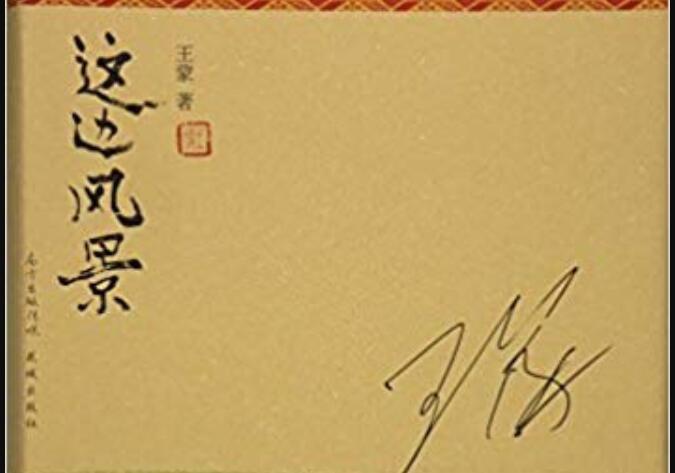 《这边风景》读后感300字