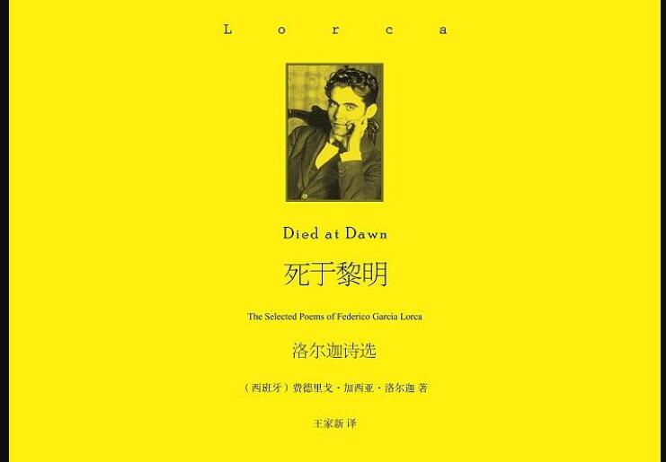 《死于黎明：洛尔迦诗选》读后感300字