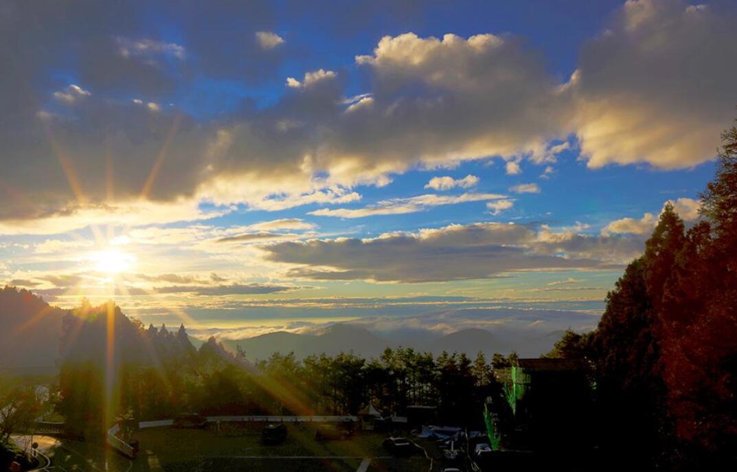 社区的傍晚作文800字