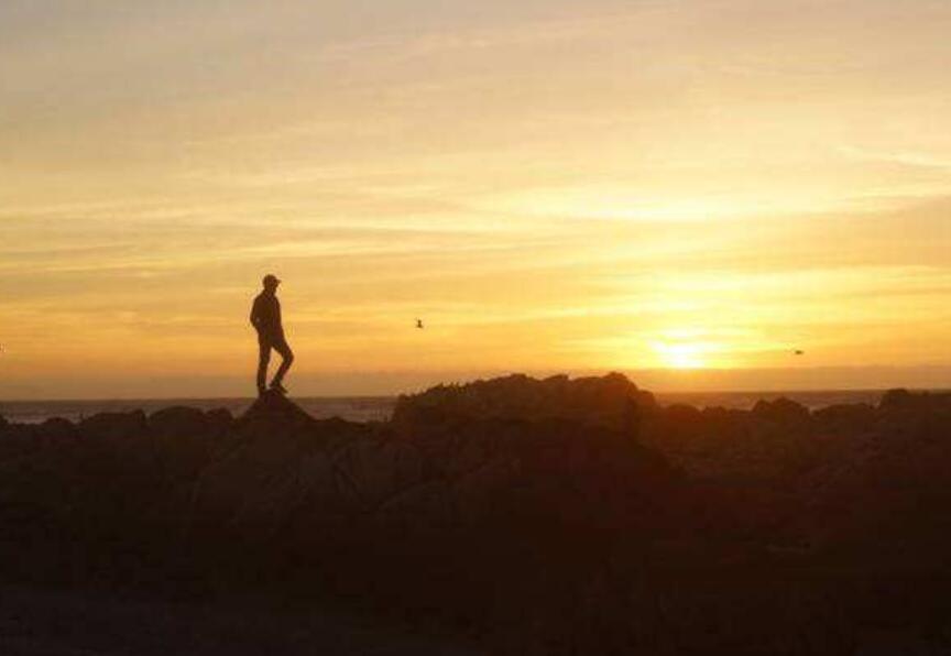 不负韶华作文800字