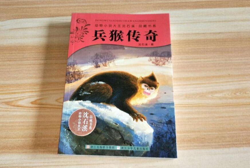 《兵猴传奇》读后感400字