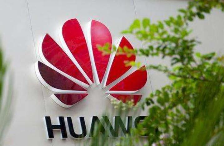 《华为天才少年》读后感800字