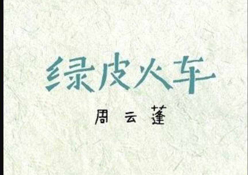 《绿皮火车》读后感400字