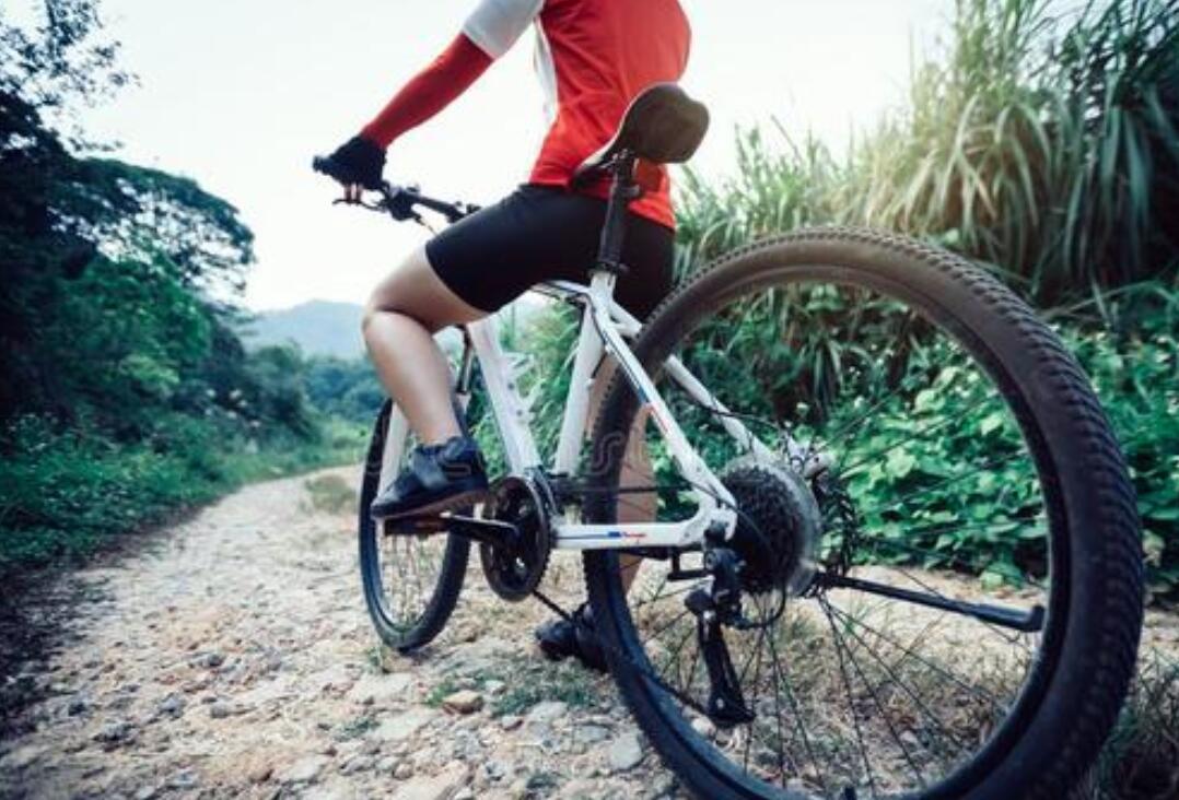 介绍一种事物作文500字