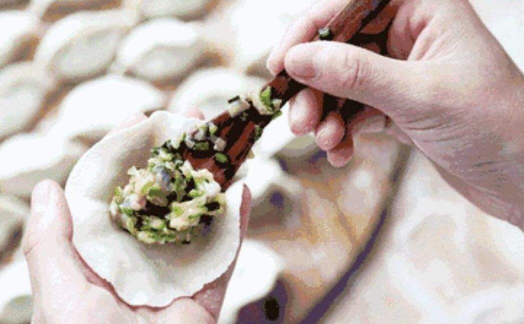 包饺子的乐趣作文600字