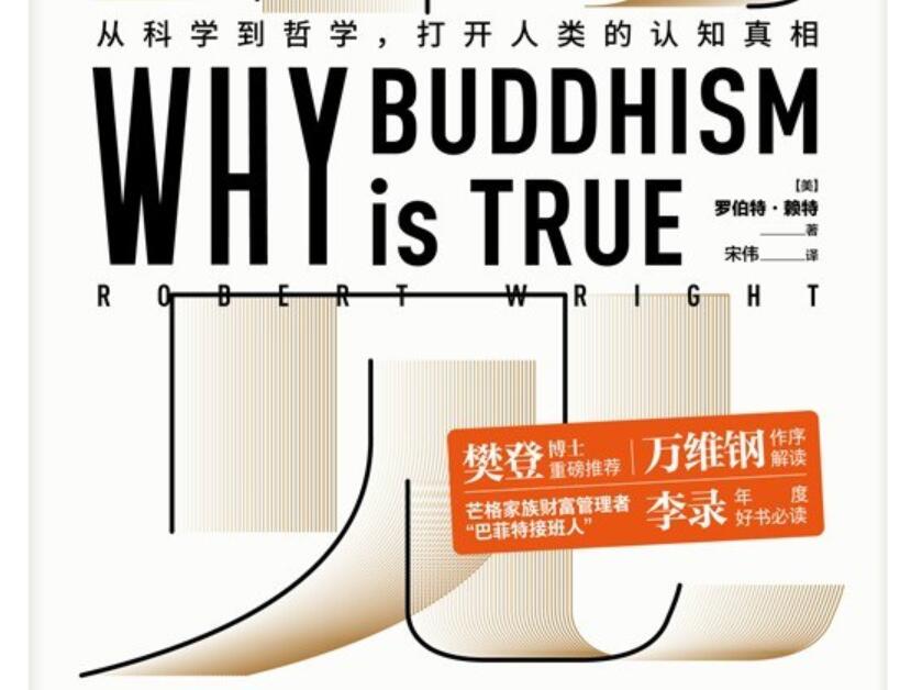 《洞见》读后感1000字