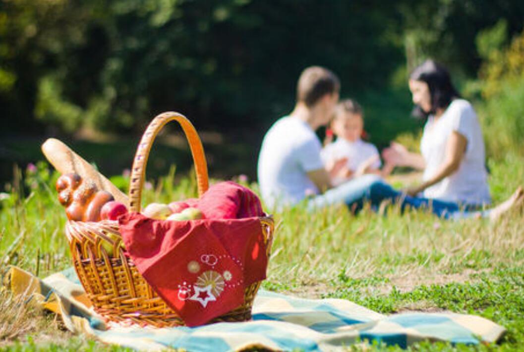 生活处处有惊喜作文500字