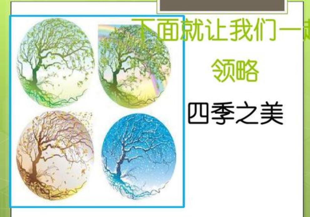 四季之美作文300字