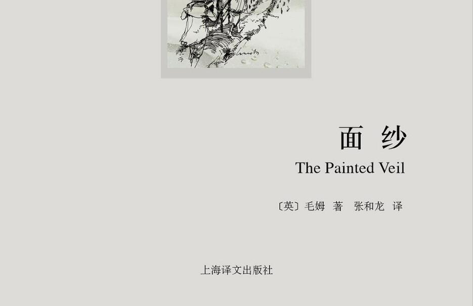 《面纱》读后感600字