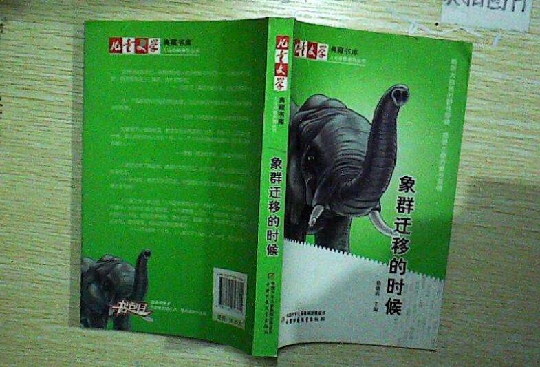 读《象群迁移的时候》有感600字