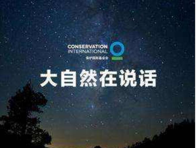 《大自然在说话》读后感600字