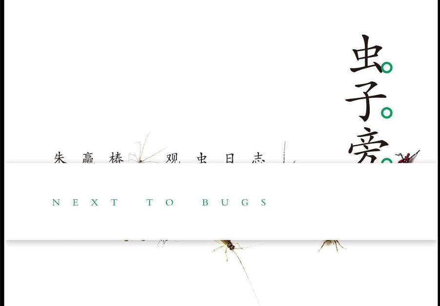 《虫子旁》读后感1500字