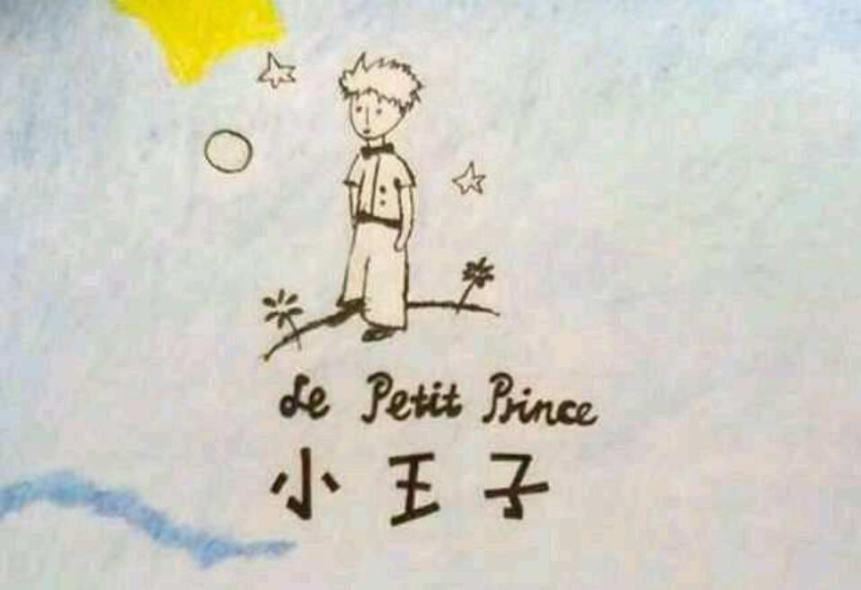 《小王子》读后感500字