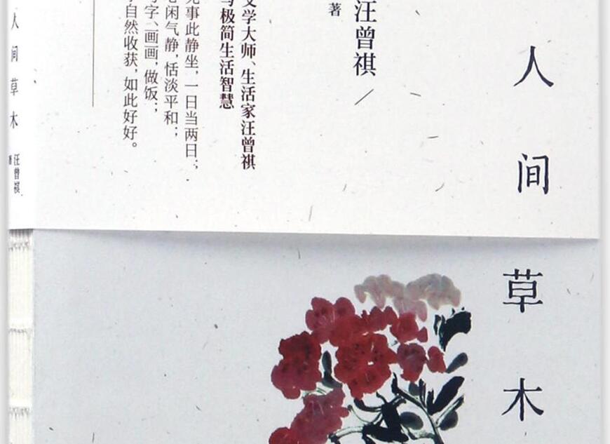 《人间草木》读后感500字