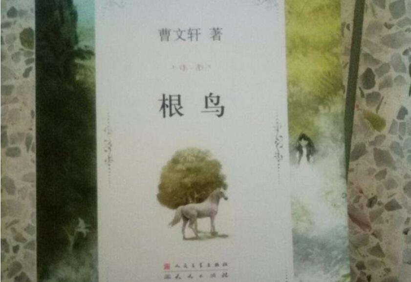 根鸟读后感400字