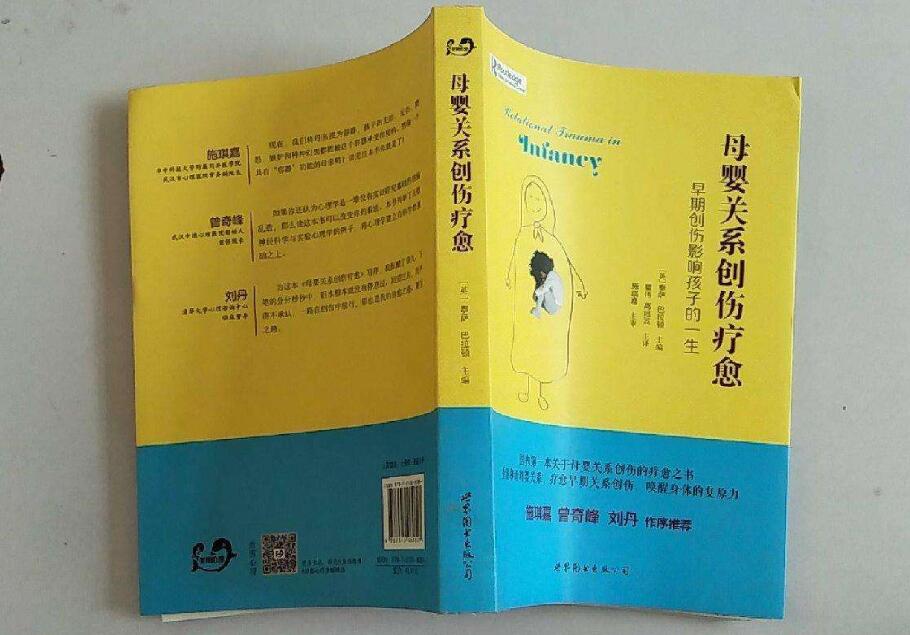 《母婴关系创伤疗愈》读后感3000字