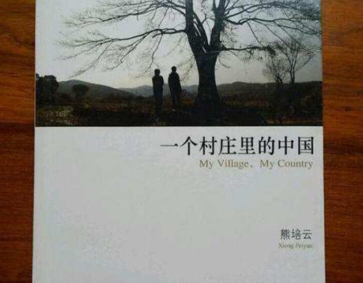 《一个村庄里的中国》读后感1000字