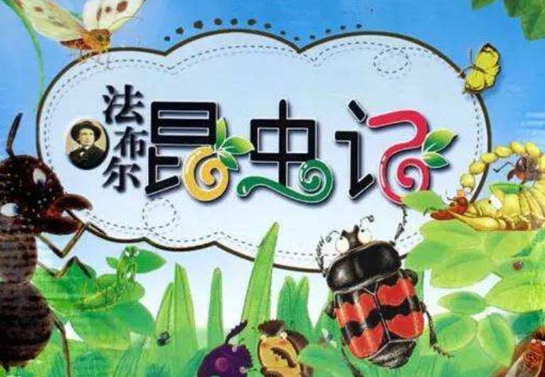 《昆虫记》读后感500字