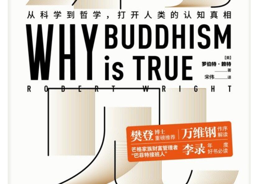 《洞见》读后感1500字