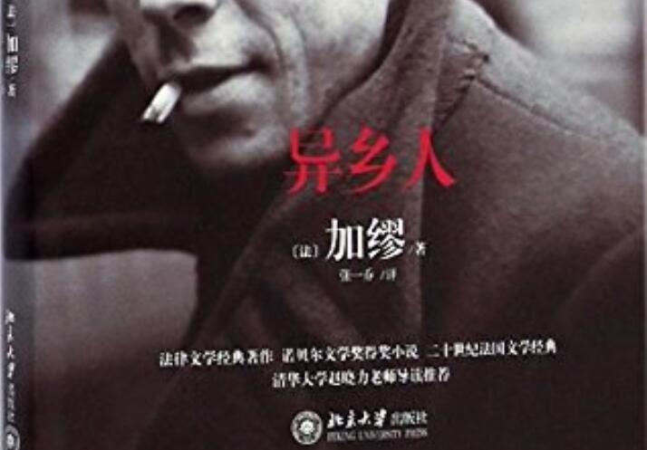《异乡人》读后感800字