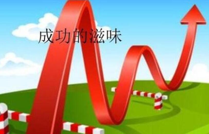 成功的滋味作文500字