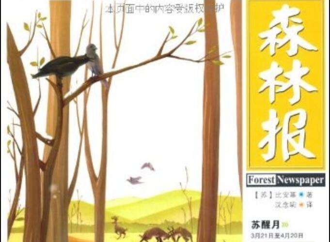 《森林报·春》读后感1000字