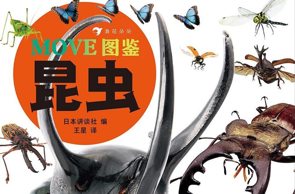 《MOVE图鉴昆虫》读后感2000字