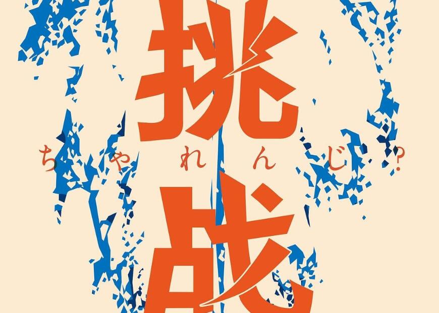 《挑战》读后感600字