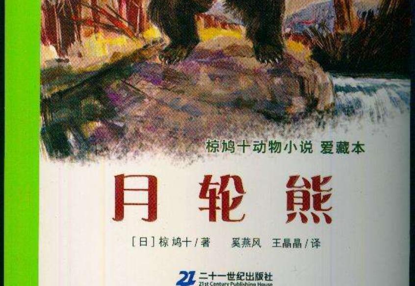 月轮熊小黑读后感600字