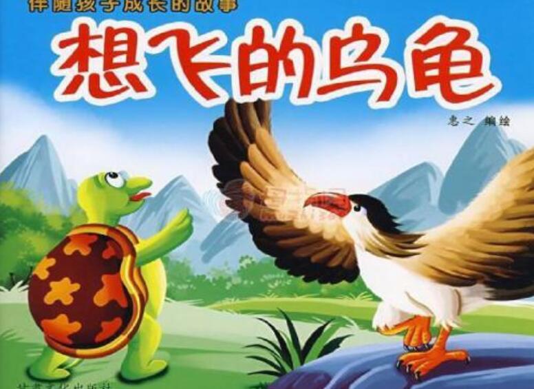 《想飞的乌龟》读后感300字